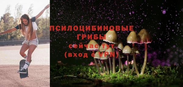 каннабис Арсеньев