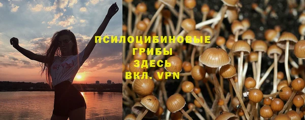 ГАЛЛЮЦИНОГЕННЫЕ ГРИБЫ Армянск