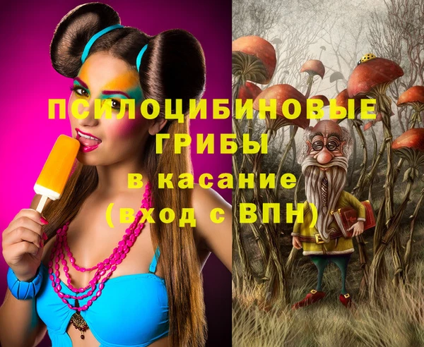 трава Аркадак