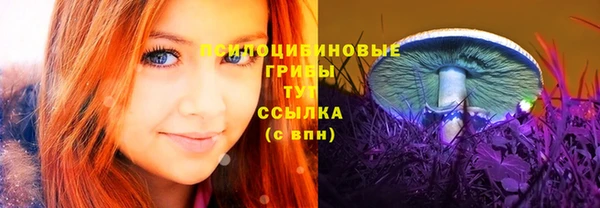 трава Аркадак
